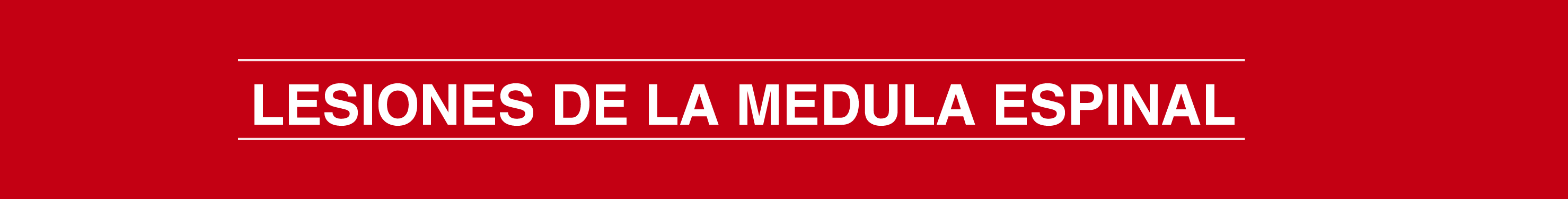 lesionesdelamedula