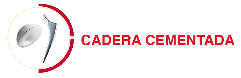 cadera cementada 12