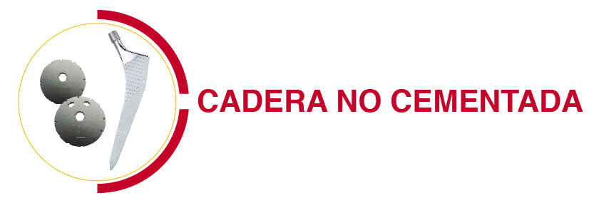 cadera no cementada 13