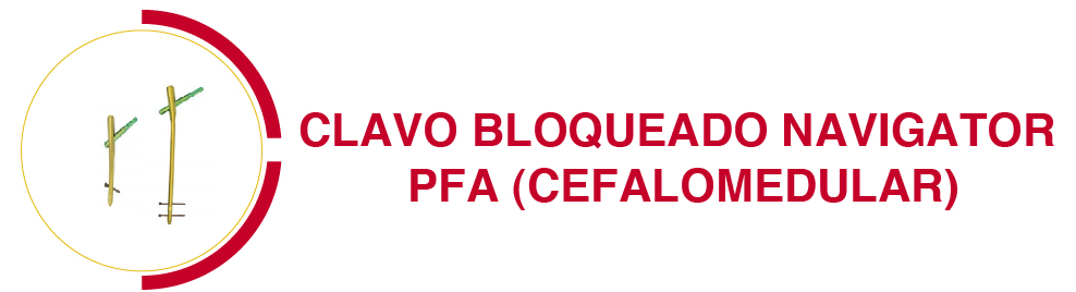 clavo CLAVO BLOQUEADO